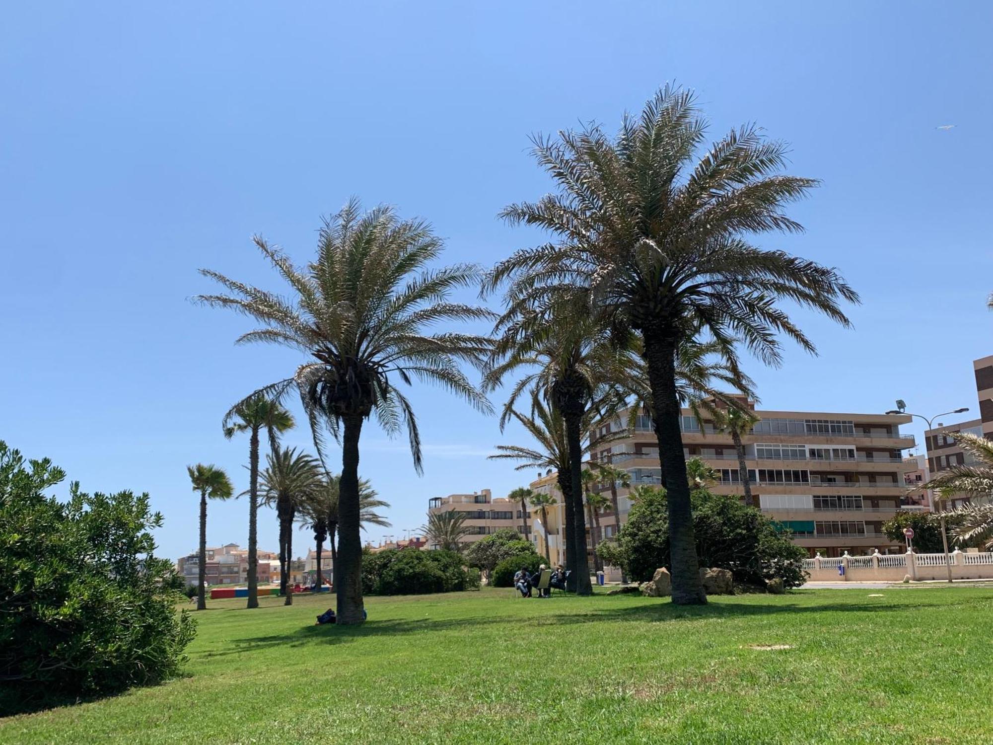 Apartment With Side Seaview 60 Meters From Sea Torrevieja Kültér fotó